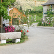 Fohlenhof Urlaub Aussen 3