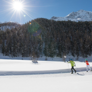 Urlaub Vinschgau 6