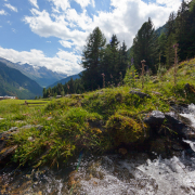 Urlaub Vinschgau Sommer 1